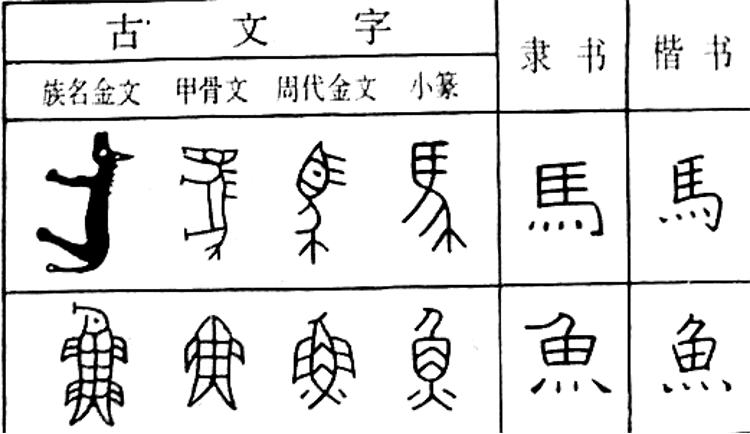 象形字的演变过程