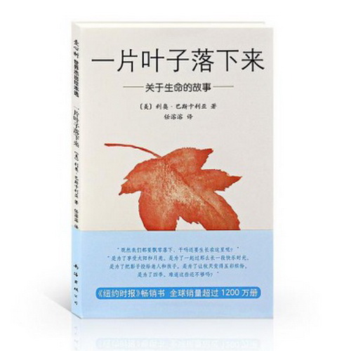 41_调整大小.jpg